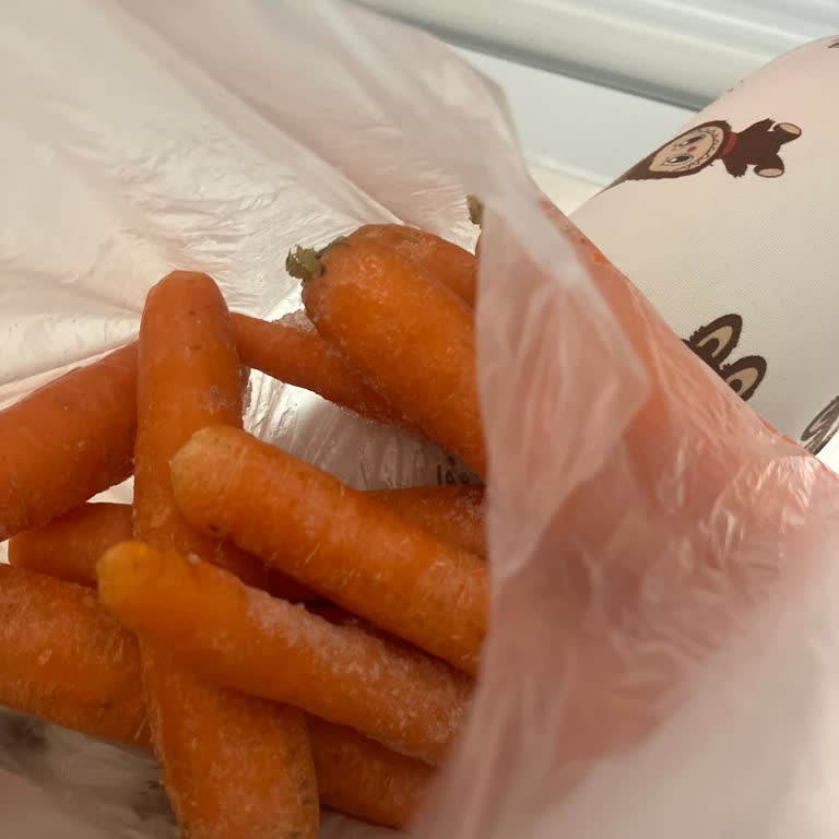 Arçelik Buzdolabında Sebzelik Donma Sorunu, Garanti Kapsamında Ücretsiz Tamir Talebi