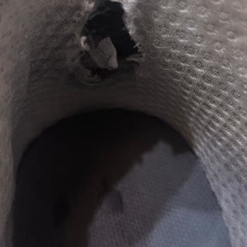 FLO Ayakkabı Değişimi Talep Ediyorum