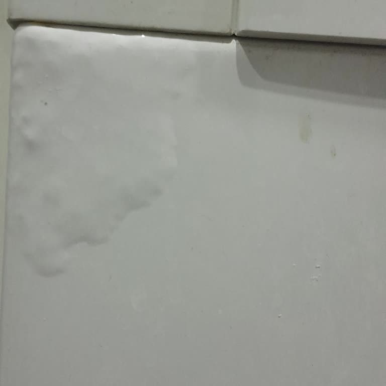 Arçelik Çamaşır Makinesi Kapak Sacı Tekrar Eden Kabarma Ve Çürüme Sorunu