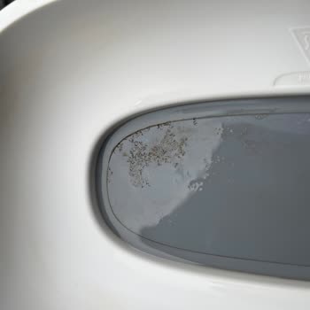 Sterilizatörde Paslanma Sorunu Garantiden Dışta Ve Ücretsiz Değişim Talebi