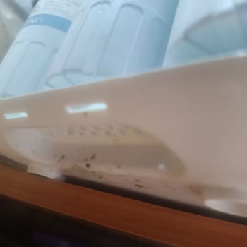 Kış Aylarında Cihazın Sürekli Terlemesi Ve Garanti Kapsamında Çözüm Bulunamaması