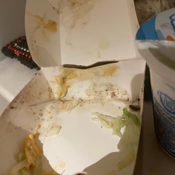 Yemeksepeti Siparişimde Böcekli Gıda, Eksik Ve Yanlış Ürünler