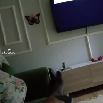 Arçelik TV Mağduriyeti Ve İade İşlemlerim