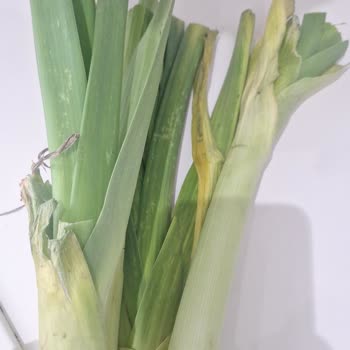 Şok Mobil'de Bozulmuş Pırasa Ve Marul Teslim Edildi, İade Yanıtı Alınamadı