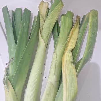 Şok Mobil'de Bozulmuş Pırasa Ve Marul Teslim Edildi, İade Yanıtı Alınamadı