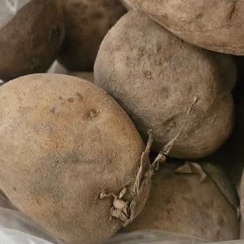 Antalya A101 Şubesinden Çürük Patates Ve Soğan Teslimatı: Sağlık Riski Ve Saygısızlık