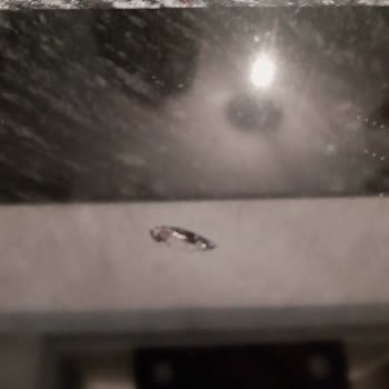 Cam Erimesi Nedeniyle Franke Ocağının Ücretsiz Değişimini Talep Ediyorum