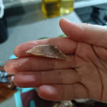 Maret Dana Kavurma İçinde Gizli Kemik Parçası Gıda Güvenliğini Tehdit Ediyor