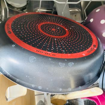 Arçelik Bulaşık Makinesi Durulama Sorunu, Sağlık Tehdidi