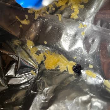 Ruffles Cipsinde Polimer Yağ Parçası, Sağlık Riski Ve Yetersiz Telafi