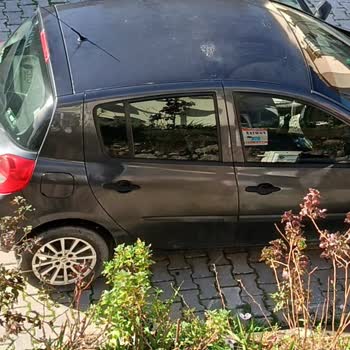 Bilir Otomotiv Boya Hatası Nedeniyle Tavan Boyasında Bozulma Ve Ücretsiz Düzeltme Talebi!