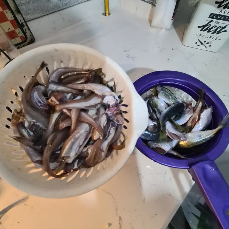 Canik Balıkçılık & Manav Tezgahta Gösterilen İle Teslim Edilen Ürün Arasında Fark Var