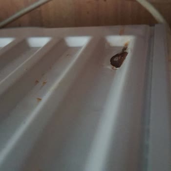 Garanti Kapsamındaki Delinen Peteklerin Değiştirilmemesi Ve Cevapsız Şikayet