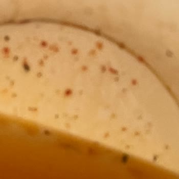 İndomie Bakırköy Özay Market Noodle’unda Kıl Tespiti Ve Hijyen İhlali