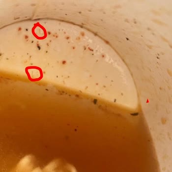 İndomie Bakırköy Özay Market Noodle’unda Kıl Tespiti Ve Hijyen İhlali