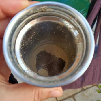 Nescafe 3’ü 1 Arada Ürünlerinde Pütürlü Görünüm Ve Rahatsız Edici Koku