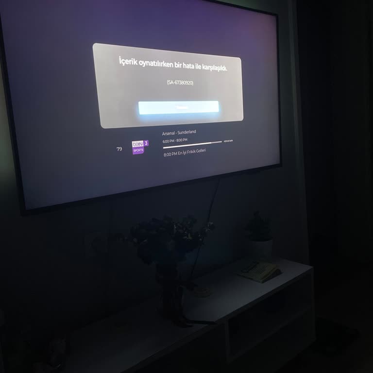 Smart TV Hatası Ve Canlı Destek Sorunu