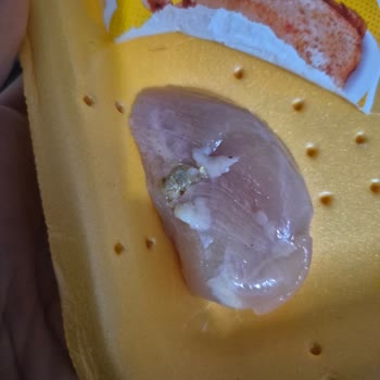 Erpiliç Bonfilede Kalıntı Tespiti ve Yanıtsız Şikayet