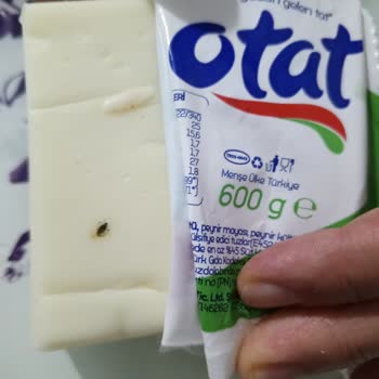 Güneş Gross’tan Kaşar Peynirinde Böcek Bulunması Ve Hijyen İhlali