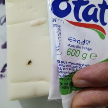 Güneş Gross’tan Kaşar Peynirinde Böcek Bulunması Ve Hijyen İhlali