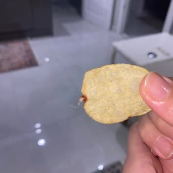 Lays Çipsinde Bulunan Böcek Benzeri Yabancı Madde İçin Şikayet Ve İade Talebi