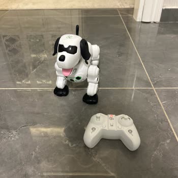 Arızalı Varden Robot Köpek Dönüyor, Kumanda Çalışmıyor: İade Talebi