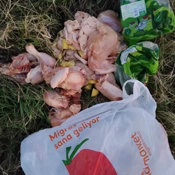 Domestos Kokulu Tavuklar İçin Tam İade Ve İnceleme Talebi