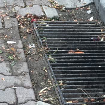 Atakum’da Semt Pazarının Gece Gürültüsü Ve Sağlıksız Temizlik Mahalleyi Sarsıyor