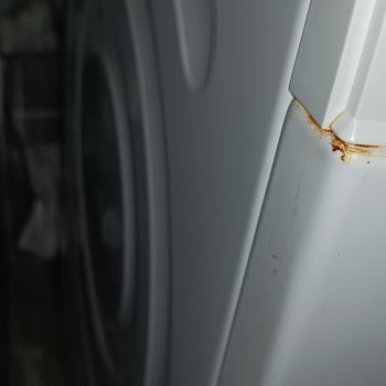 Bosch Çamaşır Makinesinde Sac Paslanması, Garanti Kapsamında Ücretsiz Değişim Talebi