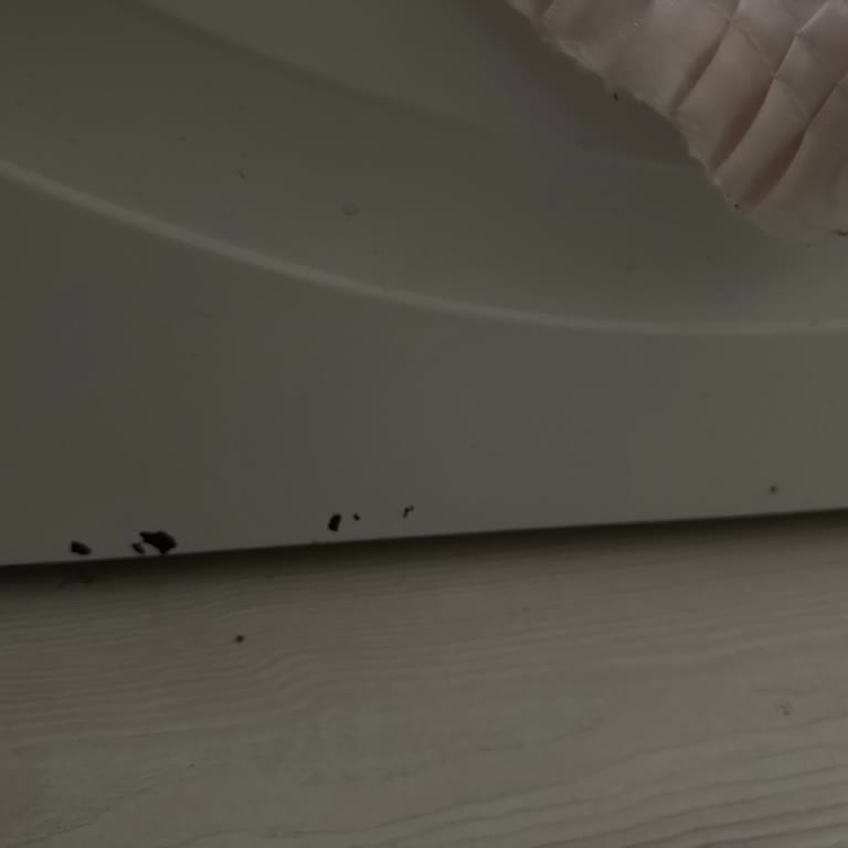 Profilo Çamaşır Makinesinde Boya Atması Garanti Kapsamında Ücretsiz Gövde Değişimi Talebi