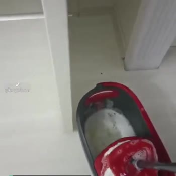 Vileda Paspas Islak Kalmaktadır