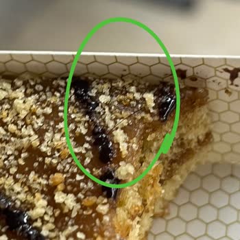 Pastamia Ürününde Kıl Tespiti, Hijyen Endişesi Ve Maddi Kayıp