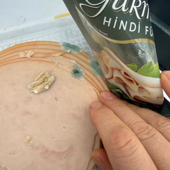 Küflü Hindi Füme Ürünü Gıda Zehirlenmesine Sebep Oldu