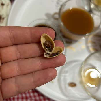 Boş Ve Çürük Amigo Siirt Fıstığı Şok Marketten