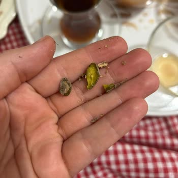 Boş Ve Çürük Amigo Siirt Fıstığı Şok Marketten