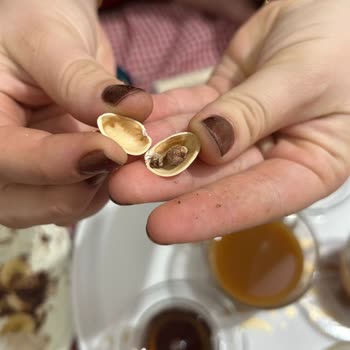 Boş Ve Çürük Amigo Siirt Fıstığı Şok Marketten