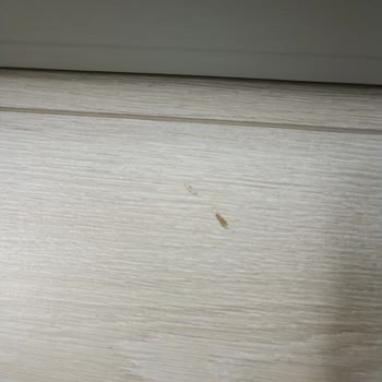 AGT Laminat Parkenin Çabuk Çizilmesi Ve Güvenimin Sarsılması