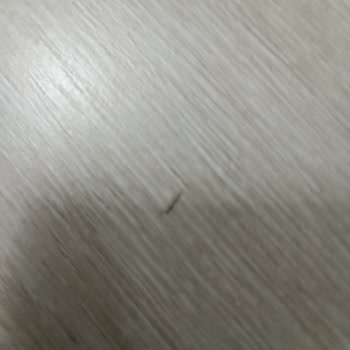 AGT Laminat Parkenin Çabuk Çizilmesi Ve Güvenimin Sarsılması