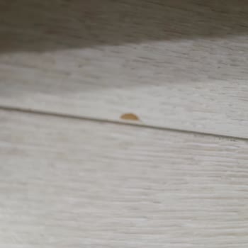 AGT Laminat Parkenin Çabuk Çizilmesi Ve Güvenimin Sarsılması