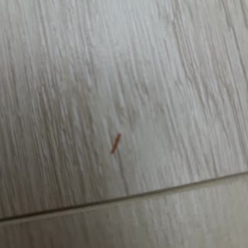 AGT Laminat Parkenin Çabuk Çizilmesi Ve Güvenimin Sarsılması