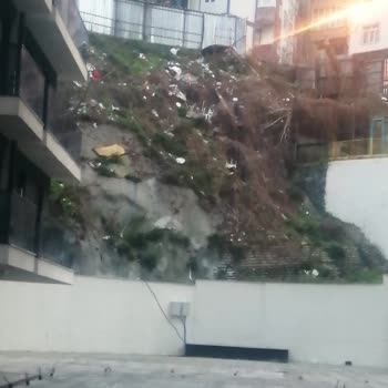 Mari Vadi Evleri Şikayeti