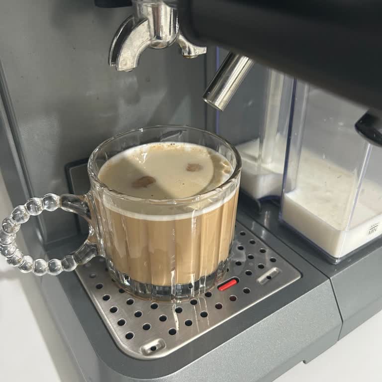 Karaca Barista S10 Süt Köpürtücüsü Arızalı, İade Talebi