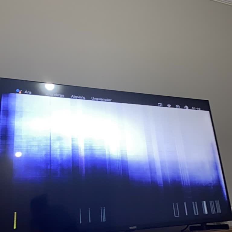 59UA9600 Model Vestel Televizyonun Garanti Dışı Ekran Arızası Ve Ücretsiz Onarım Talebi