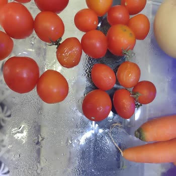 Arçelik Buzdolabında Nemlenme Ve Terleme Sorunu Çözülmedi