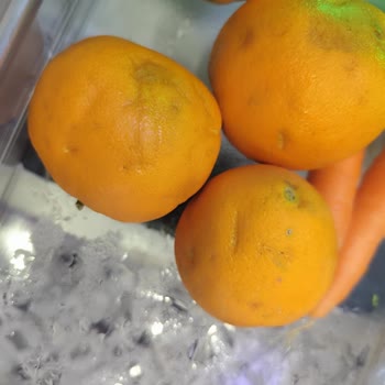 Arçelik Buzdolabında Nemlenme Ve Terleme Sorunu Çözülmedi