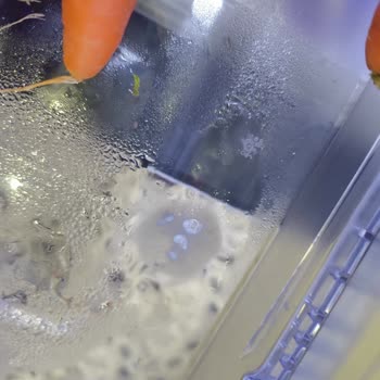 Arçelik Buzdolabında Nemlenme Ve Terleme Sorunu Çözülmedi