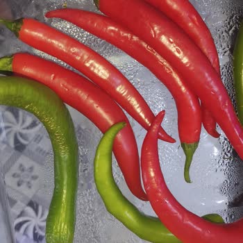 Arçelik Buzdolabında Nemlenme Ve Terleme Sorunu Çözülmedi