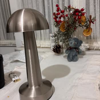 Yanlış Lamba Gönderildi, Doğru Model İçin Değişim Talebi