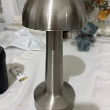 Yanlış Lamba Gönderildi, Doğru Model İçin Değişim Talebi