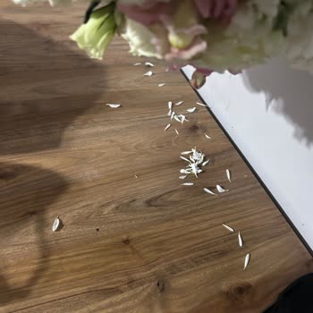 Siyane Flowers Bayat Çiçek ve Aşağılayıcı Müşteri Hizmetleri Tutumu Üzerine Şikayet